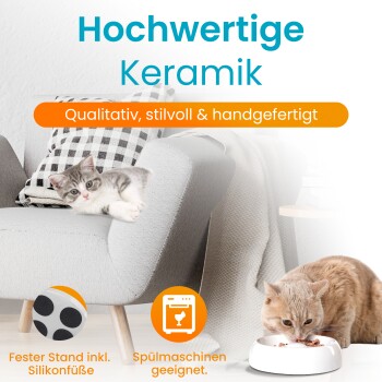 Kätzchen auf grauem Stuhl und ausgewachsene Katze, die aus einer weißen Keramikschale frisst. Sichtbarer Text: 'Hochwertige Keramik'