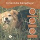 Ein glücklicher Hund mit einem verspielten Ausdruck, der Gras kaut, umgeben von Grün, mit einem Text, der die Vorteile der Zahnpflege bewirbt: "Fördert die Zahnpflege!"