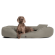Brauner Hund liegt auf großem grauem Tierbett mit erhöhten Rändern und kleinem Kissen auf weißem Hintergrund.