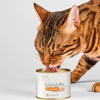 Braun-getigerte Katze leckt Nassfutter aus einer geöffneten Dose mit der Aufschrift 'feinstes Katzenfutter 95% Fleischanteil Ente Lucky-Kitty'.