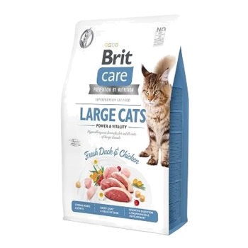 Tüte mit Brit Care Katzenfutter für große Katzen, die eine Maine Coon zeigt, mit Text, der "Frische Ente & Huhn" und Vorteile für große Rassen hervorhebt.