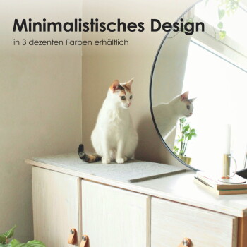 Eine flauschige rote Katze ruht auf einer hellgrauen Matte in einer Küche, mit dem Text darunter: "Perfekt temperiert."