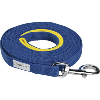 Laisse tressée bleue enroulée avec bordure intérieure jaune et mousqueton chromé, étiquette indiquant "AniOne Wild variety".