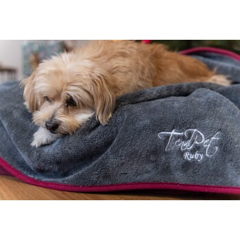 Ein kleiner, hellfarbener Hund ruht auf einem plüschigen grauen Tierbett mit weinrotem Rand, mit dem gestickten Text 'TrendPet Ruby.'