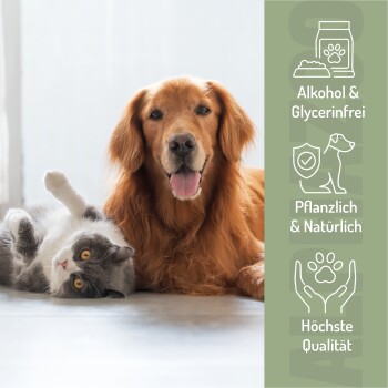 Ein Siamkatzenkätzchen patscht an einen Globus, mit Text über umweltfreundliche Praktiken auf Deutsch, einschließlich lokaler Produktion und niedriger CO2-Emissionen.