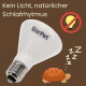 GarPet weiße Glühbirne mit deutschem Text 'Kein Licht, natürlicher Schlafrhytmus', kein-Licht-Symbol und schlafende Schildkröte.