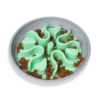 Eine grüne langsame Futter-Schüssel für Haustiere mit einem wellenförmigen Design, gefüllt mit braunem Futter, vor einem weißen Hintergrund.
