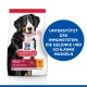 Hundefutterbeutel mit einem Berner Sennenhund, gekennzeichnet als "Hill's Science Plan," mit Text, der Unterstützung für Immunität, Gelenke und Muskeln hervorhebt.