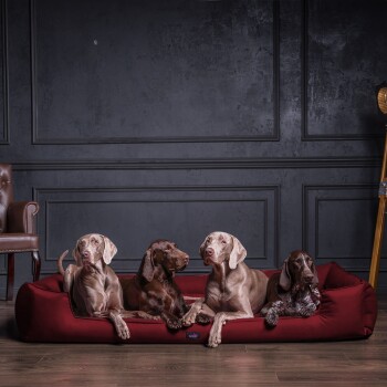 Ein gemütliches, dunkelgraues Haustierbett mit erhöhten Rändern und einem kleinen Kissen, mit einem 'tierlando'-Logo an der Seite, auf einem hellen Holzboden platziert.