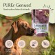 Ein brauner Hund leckt sich die Lippen neben einer Tüte "PURE BITES Insect" Snacks, die als transparent, hypoallergen und getreidefrei gekennzeichnet ist.