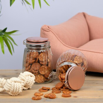 Glasbehälter gefüllt mit runden Haustierleckereien, ein Behälter umgekippt und Leckereien verschüttet, neben einem Seilspielzeug und einem rosa Haustierbett.