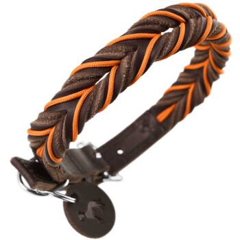 Geflochtenes braunes und oranges Hundehalsband mit einer Metall-Schnalle und einem Anhänger mit einem Hundesilhouette.