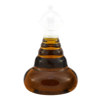 Bio-Schwarzkümmelöl