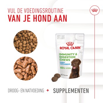 Royal Canin puppy supplementen zak gelabeld 'Immuniteit & Spijsvertering Kauwtabletten' met een hond, brokjes en kauwtabletten. Tekst in het Nederlands over voeding.