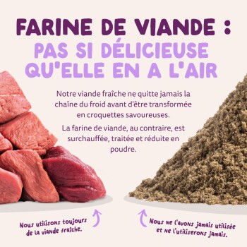 Viande crue rouge (à gauche) vs poudre de farines de viande brune (à droite) ; titre 'FARINE DE VIANDE : PAS SI DÉLICIEUSE...'.