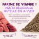 Viande crue rouge (à gauche) vs poudre de farines de viande brune (à droite) ; titre 'FARINE DE VIANDE : PAS SI DÉLICIEUSE...'.
