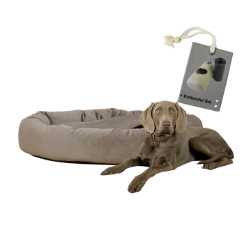 Ein grauer Hund liegt neben einem plüschigen beigen Hundebett, an dem ein Etikett mit der Aufschrift "+ Kotbeutel Set" befestigt ist.