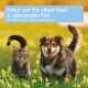 Getigerte Katze und lächelnder Hund stehen auf einer Wiese mit gelben Blumen. Text: 'Vitale Haut & glänzendes Fell – rein natürlich'