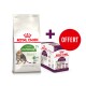 Royal Canin Active Life Outdoor nourriture pour chats de 7 ans et plus, avec une offre promotionnelle pour la nourriture humide Sensory petit goût, paquet de 12.