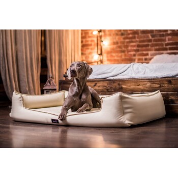 Ein elegantes, cremefarbenes Hundebett mit erhöhten Kanten steht auf einem Holzboden, während ein grauer Weimaraner-Hund darauf liegt und aufmerksam schaut.