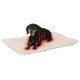 Pet Liegekissen Theo, Beige, 75x50x3cm L