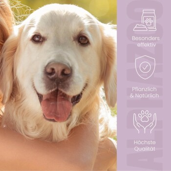 Bild zur Förderung eines Online-Tiergeschäfts mit dem Text "ES WIRD ERNST. LERN UNS KENNEN" und Details zu nachhaltigen deutschen Tierprodukten.