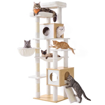 Beige-weißer mehrstöckiger Kratzbaum mit Höhlen, Hängematten, Kratzrampe und hängendem Spielzeug, besetzt von sechs Katzen