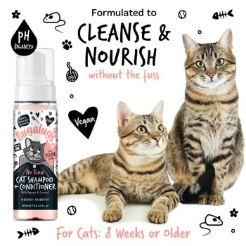 Bild von zwei getigerten Katzen neben einer Flasche Bugalugs No Rinse Katzen-Shampoo + Conditioner, gekennzeichnet als vegan und pH-ausgeglichen, für Katzen ab 8 Wochen.