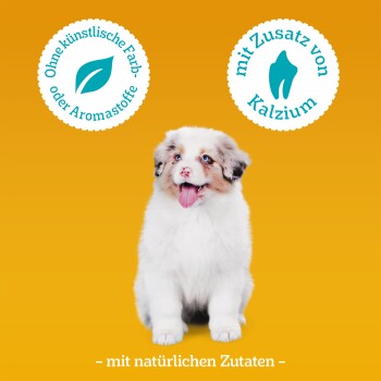 Flauschiger weiß-brauner Welpe mit blauen Augen vor orangefarbenem Hintergrund, deutscher Text über natürliche Zutaten und zugesetzten Kalzium.