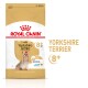 Royal Canin Adult Yorkshire Terrier Hundefuttertüte für Hunde über 8, mit einem Yorkshire Terrier und Ansprüchen auf gesundes Altern und Fell.
