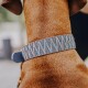 Premium Halsband Gepolstert blau/ grau L