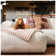 Kleiner brauner Hund liegt auf einem beigen Sofa mit einer rosa gestreiften Decke und dekorativen Kissen in einem gemütlichen Wohnzimmer.