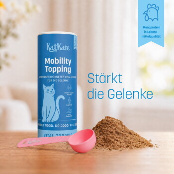 Graue Katze mit gelben Augen neben einer blauen KatKare-Dose 'Mobility Topping', rosa Messlöffel und Pulver auf dem Tisch.
