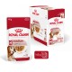 Medium Ageing 10+ w sosie 10x140 g