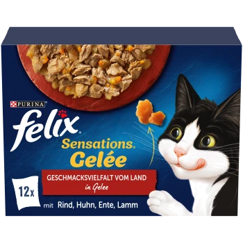 Purina Felix Sensations Gelée Katzenfutterbox mit Fleischstückchen, zeigt eine schwarz-weiße Katze, die sich die Lippen leckt, 12 Packungen.