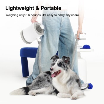 Border Collie neben einer Person, die einen tragbaren Trockner hält; sichtbarer Text: Lightweight & Portable und Weighing only 6.6 pounds.