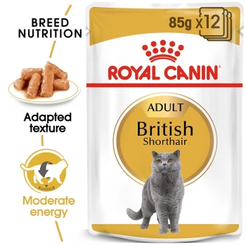 Royal Canin Adult British Shorthair cat food bag, showcasing a gray British Shorthair and emphasizing breed-specific nutrition.