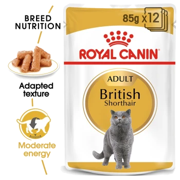 Royal Canin Adult British Shorthair cat food bag, showcasing a gray British Shorthair and emphasizing breed-specific nutrition.