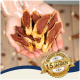 Eine Person hält rötlich-braune Hundeleckerlis mit goldenen Rändern, mit einem Abzeichen, das sagt "Best Quality for over 15 years."