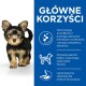 Uroczy szczeniak Yorkshire Terrier stoi na białym tle, obok niebieskiego tekstu podkreślającego korzyści technologii ActivBiome+ dla zdrowia zwierząt.