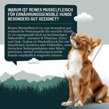 Dosen mit hypoallergenem reinem Muskelfleisch-Hundefutter für empfindliche Hunde, beschriftet mit Hirsch, Wildschwein, Ziege, Kaninchen, Ente, Pferd und Rind.