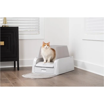 Orange-weiße Katze sitzt auf einer grauen automatischen Katzentoilette in einem modernen Raum mit Holzboden und weißen Wänden.