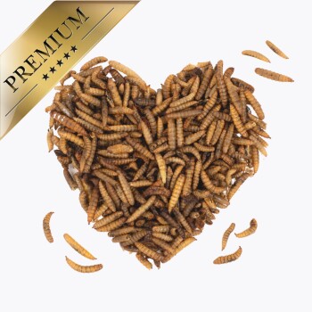 Eine herzförmige Anordnung von getrockneten Mehlwürmern, mit einem goldenen Banner "PREMIUM" in der oberen linken Ecke.