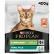 Verpackung für Katzenfutter mit einer getigerten Katze, beschriftet mit "Purina Pro Plan," 400g, mit hervorgehobenen "Sterilisiert," "Erwachsene 1+" und "Renal Plus."