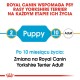 Karma dla psów Royal Canin dla Yorkshire Terrierów, wskazująca etapy: 2 miesiące (szczeniak) i 10 miesięcy (dorosły), z notatką o przejściu.
