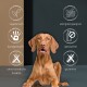Ein sitzender Hund in einer modernen Umgebung, mit Symbolen und Text, die Merkmale hervorheben: vegetarisch, handgefertigt, allergenfrei, laktosefrei und glutenfrei.