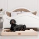 Ein schwarzer Dobermann, der auf einem beigen Haustierbett in einem stilvollen Raum mit einem weißen Bett und dekorativen Blumen auf einem Nachttisch liegt.