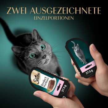 Grau getigerte Katze mit grünen Augen, Hände halten zwei Sheba Perfect Portions Schalen (37,5 g); Kopfzeile 'ZWEI AUSGEZEICHNETE EINZELPORTIONEN'.