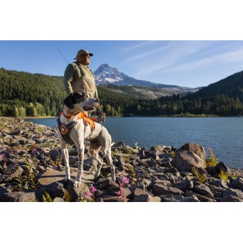 Eine Person steht an einem See mit einem Hund an der Leine, umgeben von felsigem Gelände und Wildblumen, mit Bergen im Hintergrund.