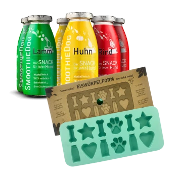 Drei bunte Flaschen beschriftet mit "Huhn," "Rind" und "Lamm," die natürliche Zutaten fördern, neben einer grünen, hundethemen Eiskubusform.